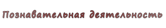  «Познавательная деятельность»