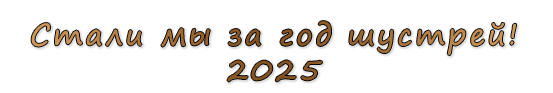  «Стали мы за год шустрей! 2025»