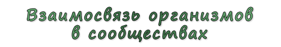  «Взаимосвязь организмов в сообществах»