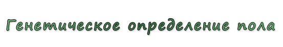 «Генетическое определение пола»