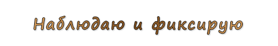  «Наблюдаю и фиксирую»