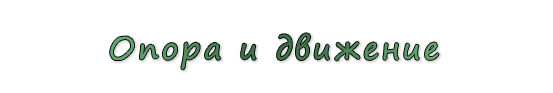  «Опора и движение»