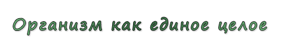  «Организм как единое целое»