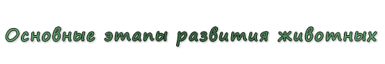 «Основные этапы развития животных»
