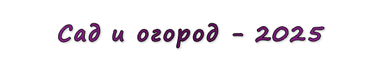  «Сад и огород - 2025»