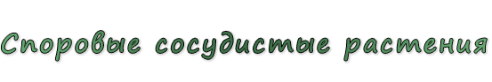 «Споровые сосудистые растения»