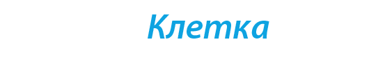  «Клетка»